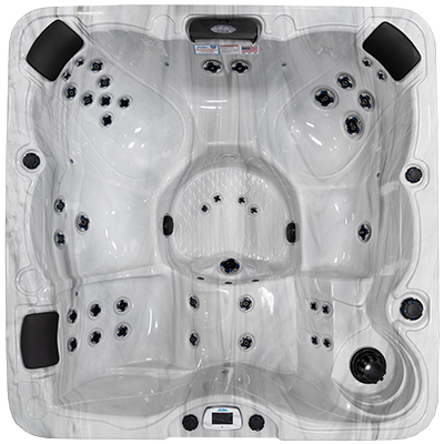 Pacifica-X EC-739LX hot tubs for sale in hot tubs spas for sale Rockford