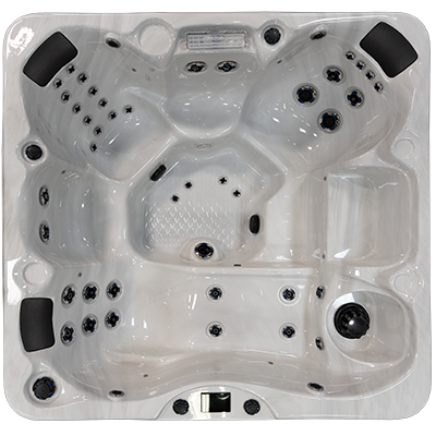 Costa-X EC-740LX hot tubs for sale in hot tubs spas for sale Rockford