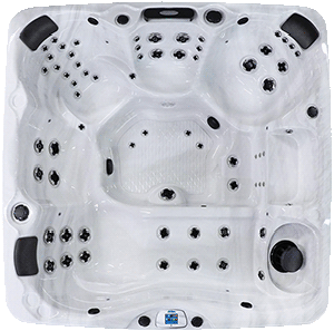 Avalon EC-867L hot tubs for sale in hot tubs spas for sale Rockford