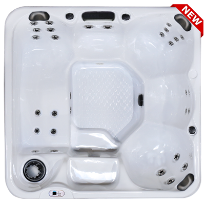 Hawaiian Plus PPZ-628L hot tubs for sale in hot tubs spas for sale Rockford